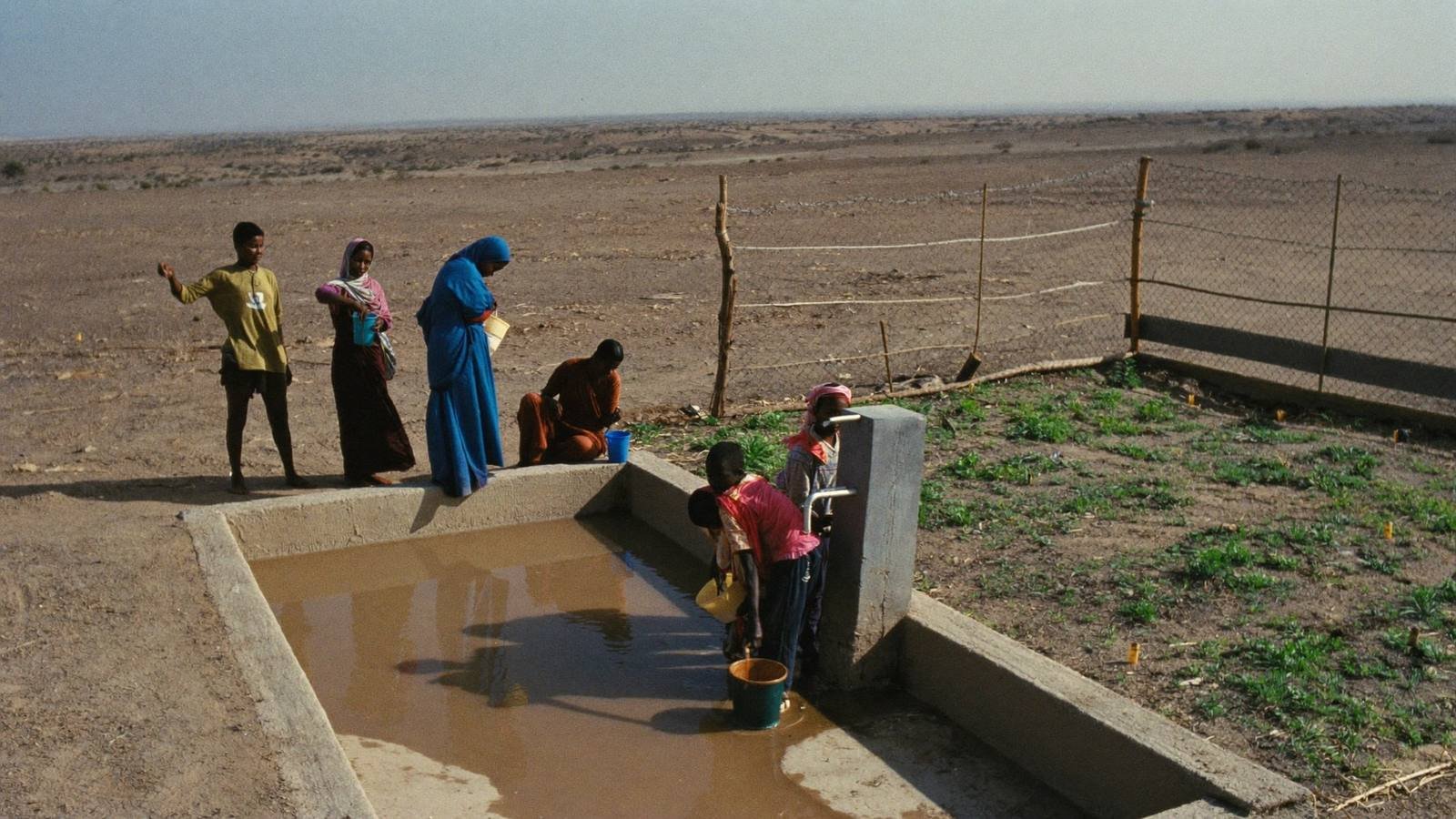 Community water point with seedlings in an arid landscape