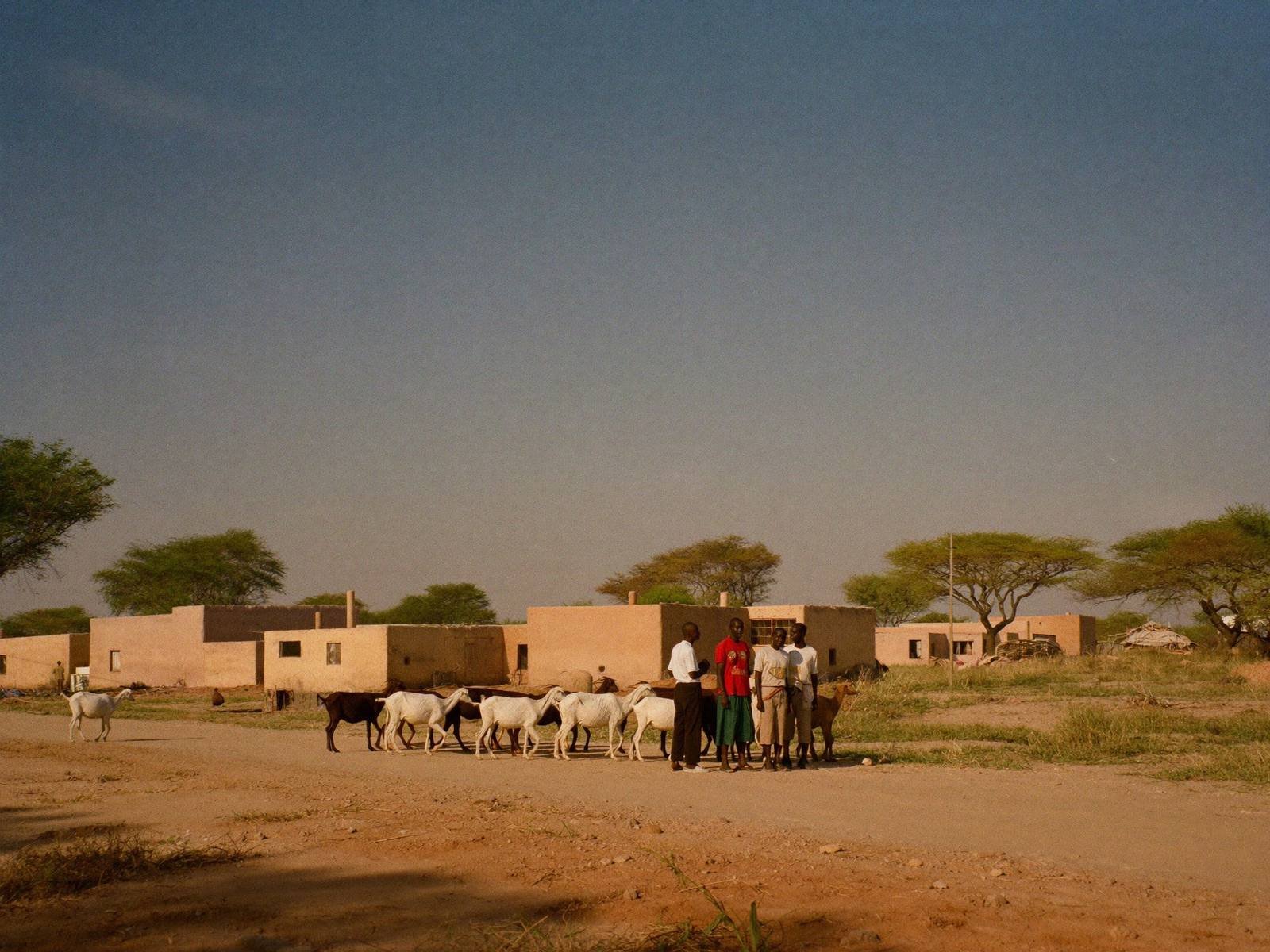 Edge of an arid northern Kenyan town at golden hour