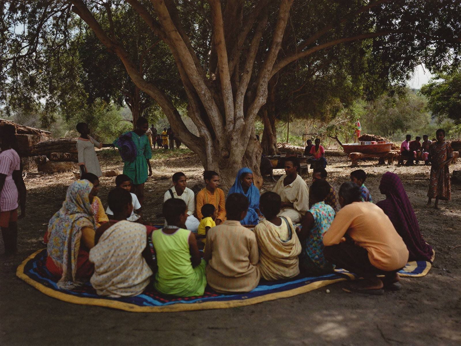 Community meeting under a large tree